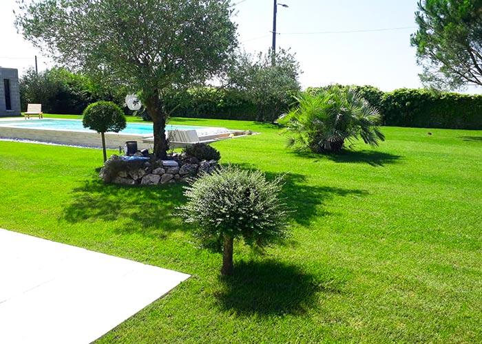 jardin avec piscine