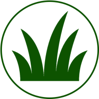herbe