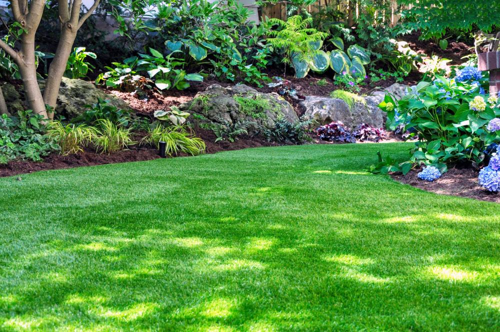 pelouse avec jardin