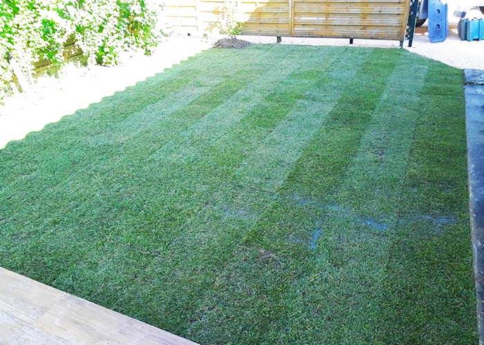 jardin avec palissade après