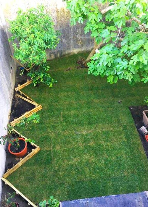 jardin triangle après