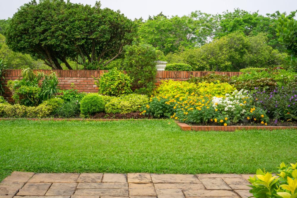 jardin avec muret