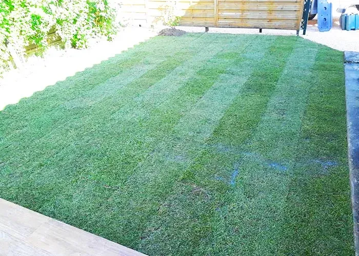 gazon avec palissade