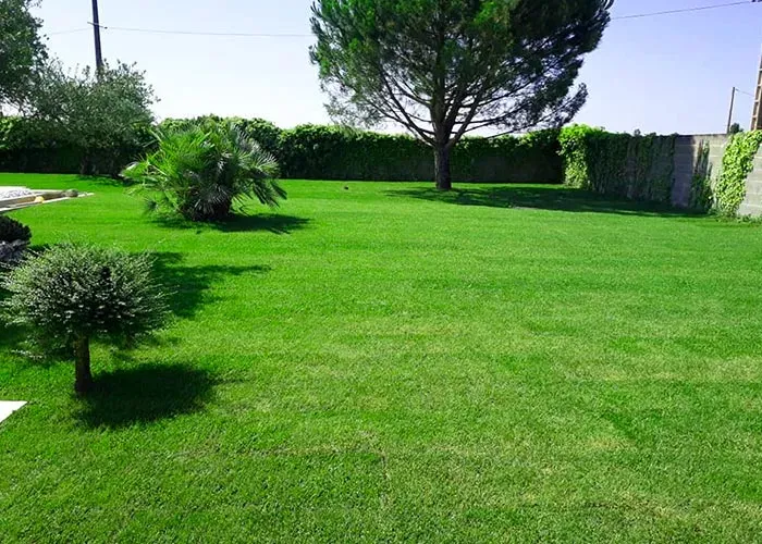 jardin avec des arbres