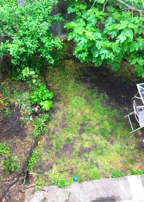 jardin triangle avant